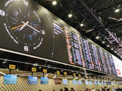 -谢列梅捷沃国际机场