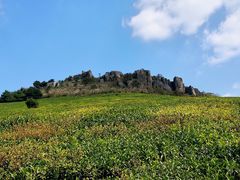 -东白山