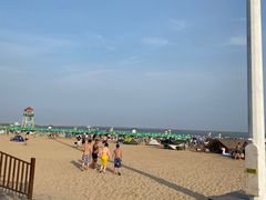 -碧海金沙