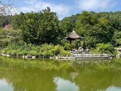 -广州市帽峰山景区