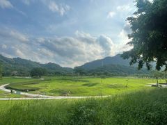 -风云岭森林公园