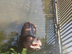 -海南热带野生动植物园