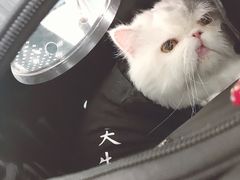 -北京赛佳动物医院