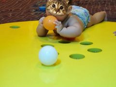 -海帆亲子游泳(茂业中心)