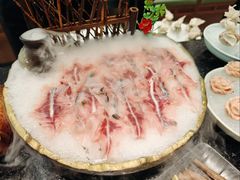 -得意咚瓜·顺德鱼生·冬瓜火锅(深圳首店)