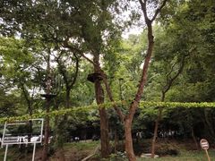 -WeLope紫金山探险公园