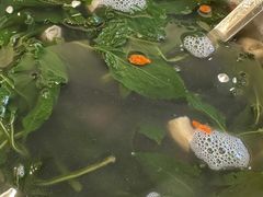 -舌尖上·霞浦滩涂海鲜·新闽菜(总店)