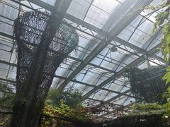 -中华郡文化旅游景区