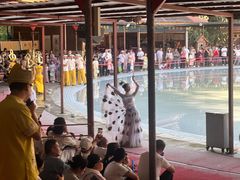 -西双版纳勐泐文化旅游区