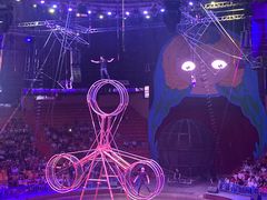 -俄罗斯国家大马戏团