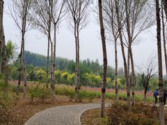 -东郊湿地公园