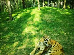 -北京野生动物园