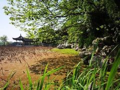 -高子水居