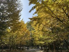 -长白岛森林公园