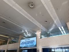 -首都医科大学附属北京天坛医院