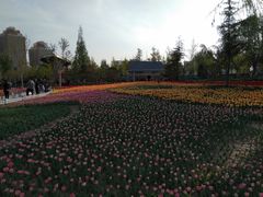 -廊坊文化艺术中心