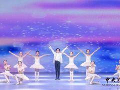 -中央芭蕾舞团·中芭艺蕾(酒仙桥明星校区)