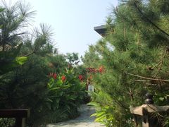 -东方华地城湿地温泉度假区