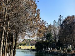 -九里河湿地公园