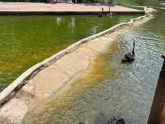 -海南热带野生动植物园