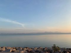-深圳湾公园(南山区)