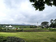 -光明小镇欢乐田园