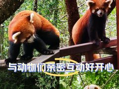 -普洱太阳河森林公园