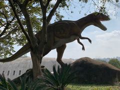 -自贡恐龙博物馆