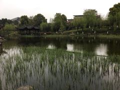 -日出青木·杭帮菜名店