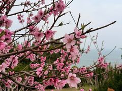 -燕儿岛山公园
