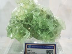 -中国地质大学逸夫博物馆