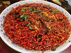 杨记招牌鱼-杨记隆府(白象街店)