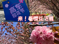 -高东镇樱花园