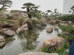 -罗红摄影艺术馆