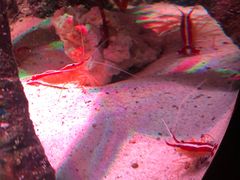 -沈阳海洋探索中心