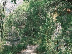 -圣莲山风景区