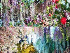 -正佳雨林生态植物园