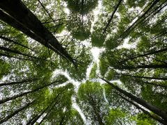 -山王坪喀斯特国家生态公园