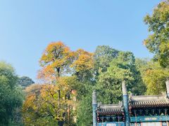 -香山公园