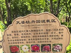 -太阳宫公园