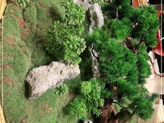 -紫阳海鲜楼·传承闽味(长乐路总店)