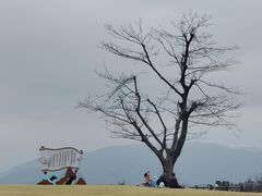 -天姥山景区