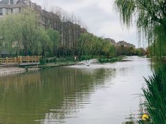 -新江湾城公园