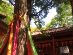 景点-天门寺