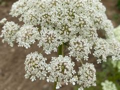 -白河湾山水缘民宿