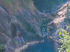 -广州白江湖森林公园