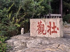 -云龙山