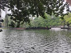 -荔湾湖公园
