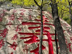 -沂蒙山旅游区龟蒙景区