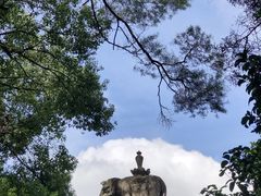 -青芝山风景名胜区